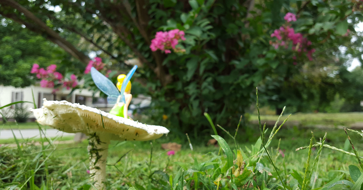 Tinkerbell on Mushroom