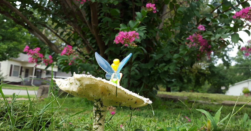 Tinkerbell on Mushroom