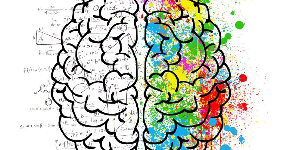 Creative brain